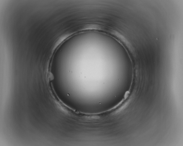 X0000113151129200909110949