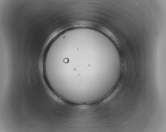 X0000113151130200909110949