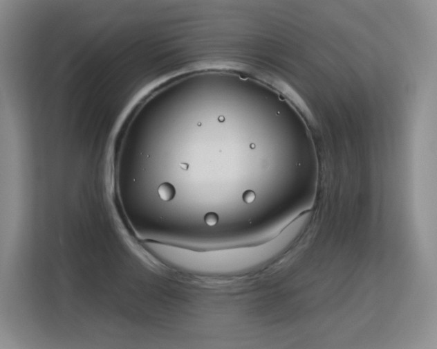 X0000113151132200909110949