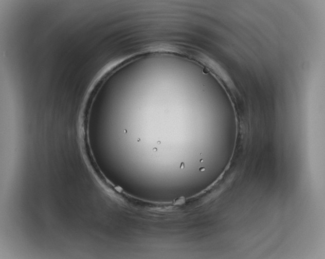 X0000113151133200909110949