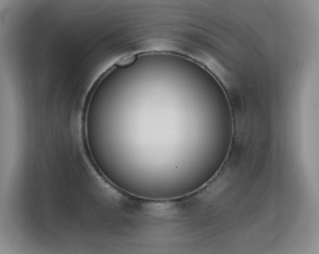 X0000113151134200909110949