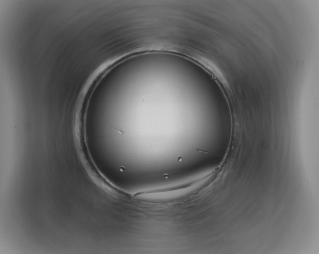 X0000113151136200909110949