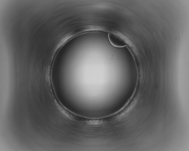 X0000113151137200909110949