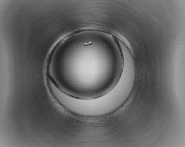 X0000113151138200909110949