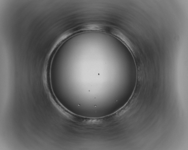 X0000113151139200909110949