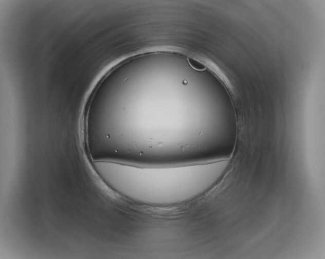 X0000113151140200909110949