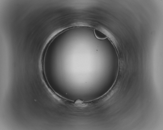 X0000113151141200909110949