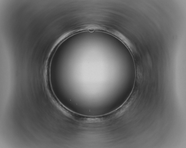 X0000113151142200909110949