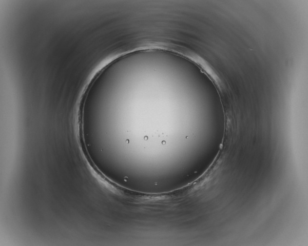 X0000113151143200909110949