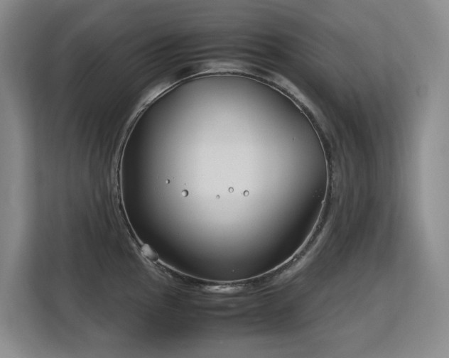 X0000113151145200909110949