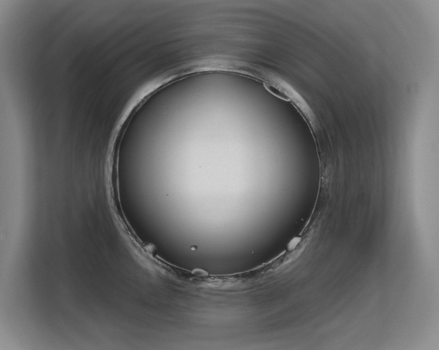 X0000113151146200909110949