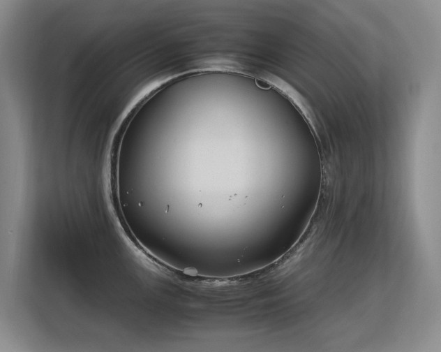 X0000113151147200909110949