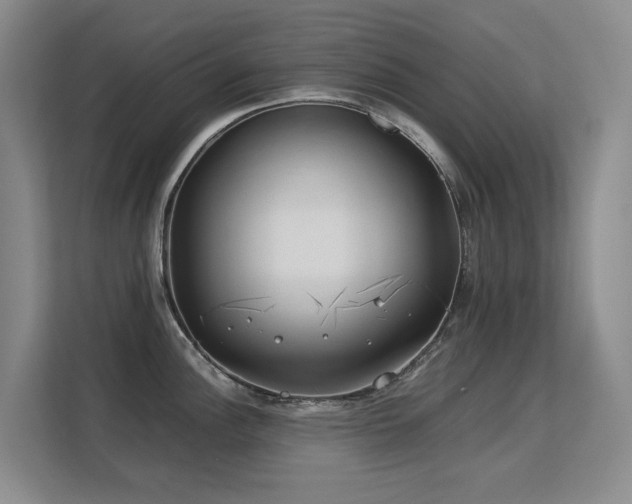 X0000113151148200909110949