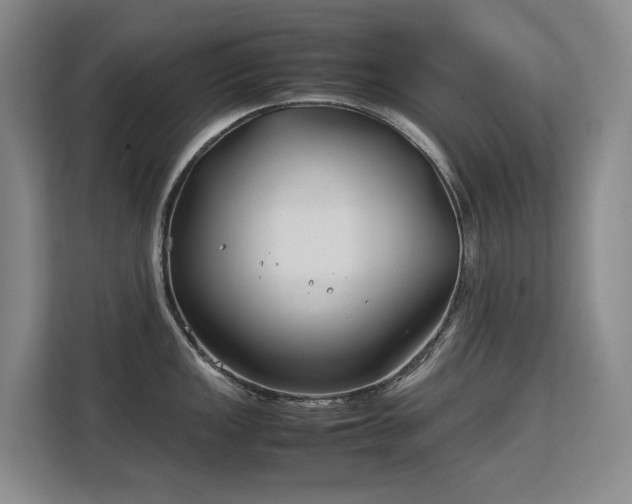 X0000113151149200909110949