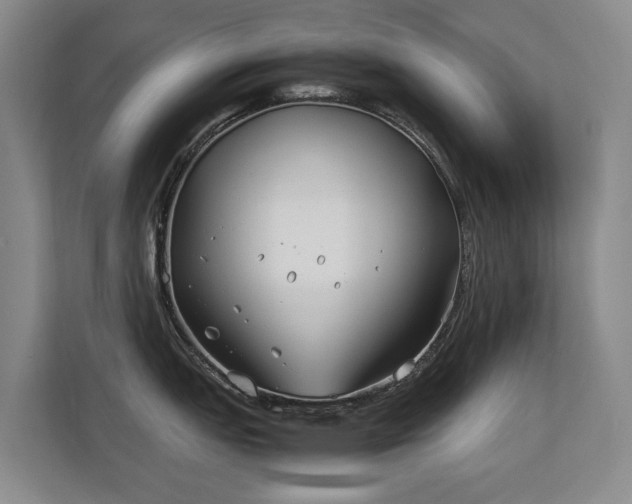 X0000113151151200909110949