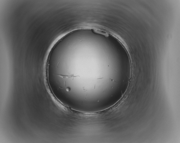 X0000113151152200909110949