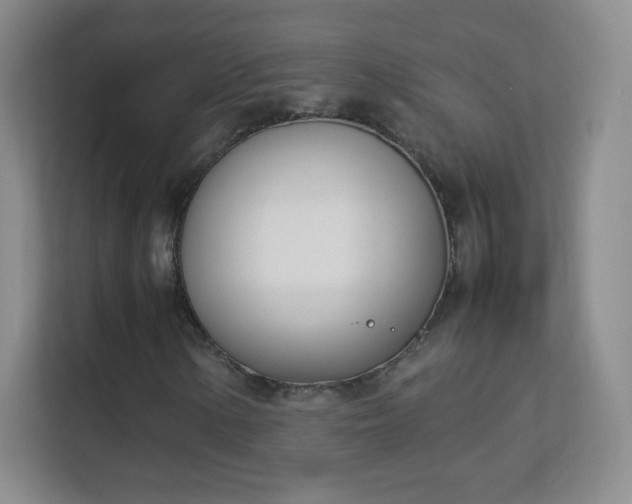 X0000113151154200909110948