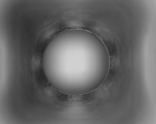 X0000113151157200909110948