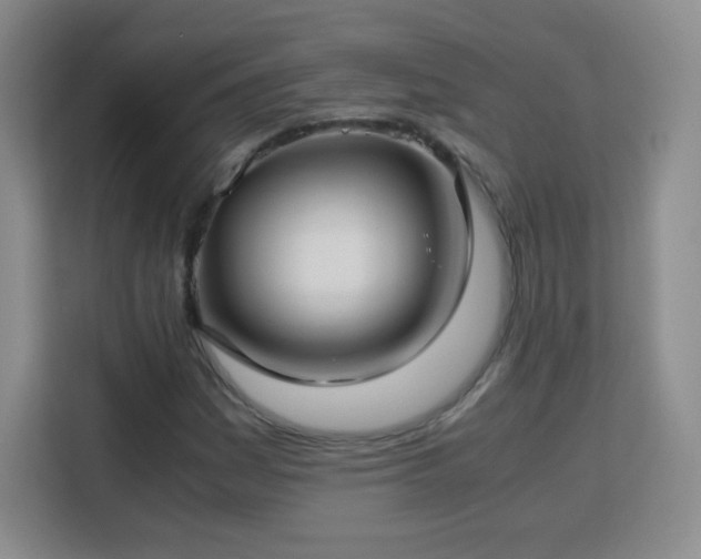 X0000113151161200909110948