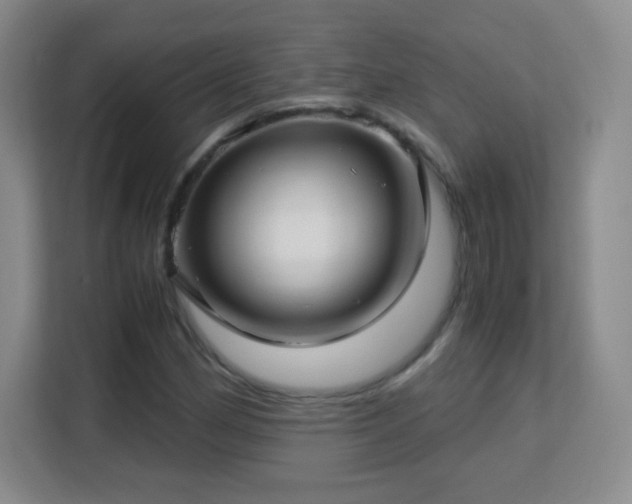 X0000113151162200909110948