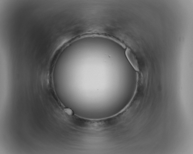 X0000113151165200909110948