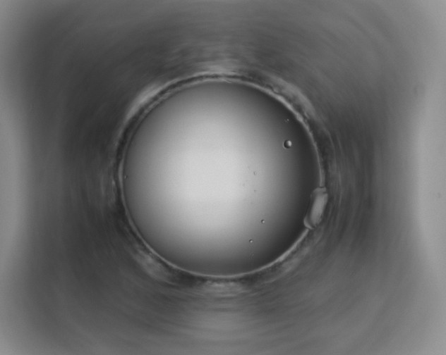 X0000113151168200909110948