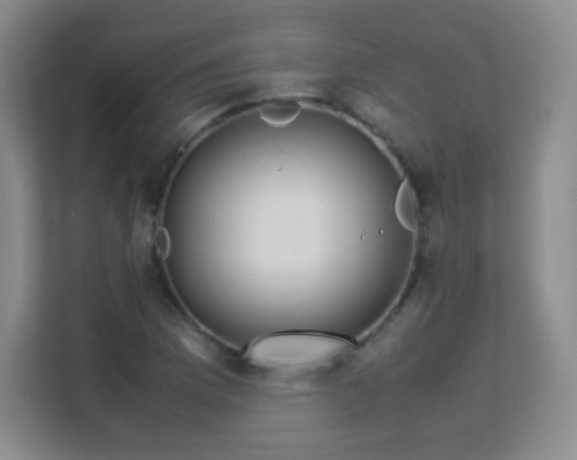 X0000113151169200909110948