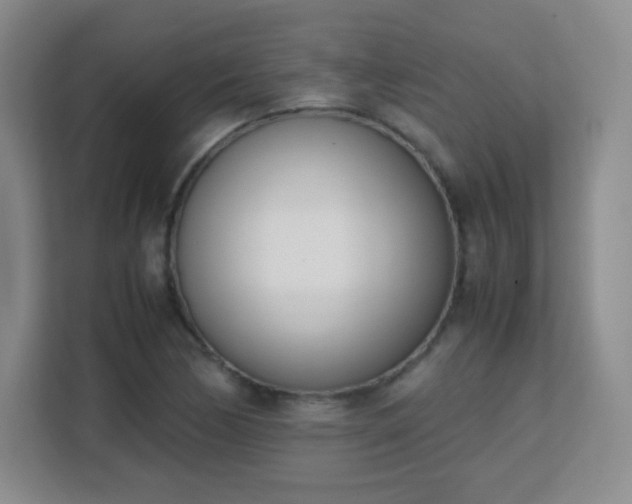 X0000113151170200909110948