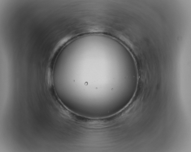 X0000113151171200909110948