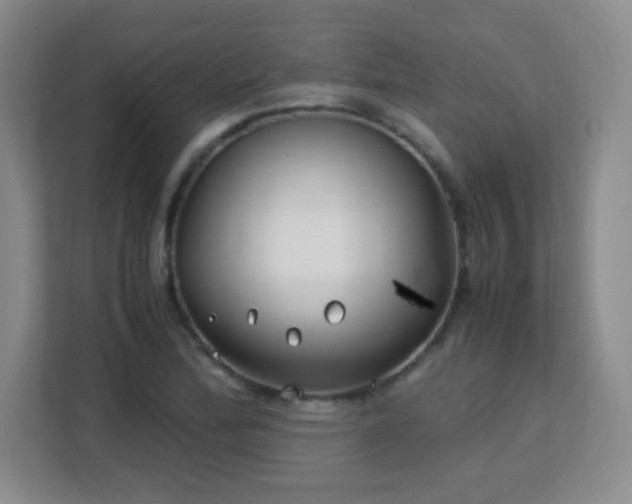 X0000113151172200909110948