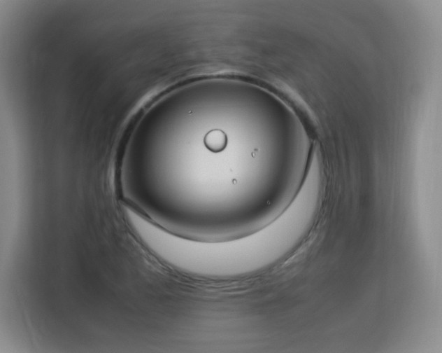 X0000113151173200909110948