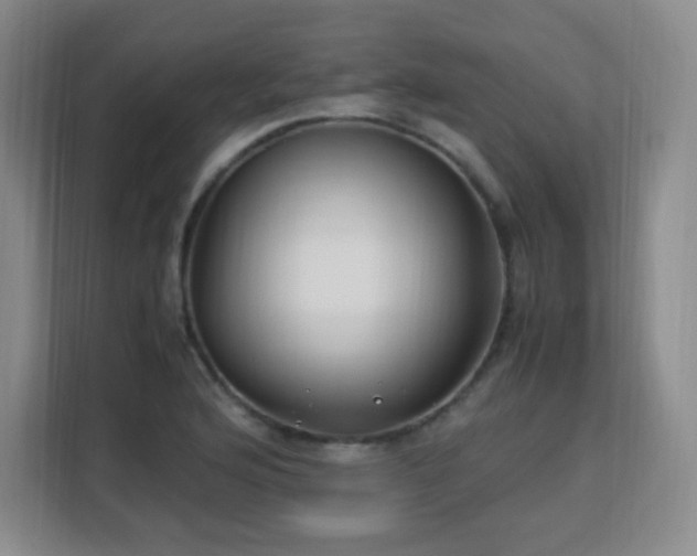 X0000113151176200909110948