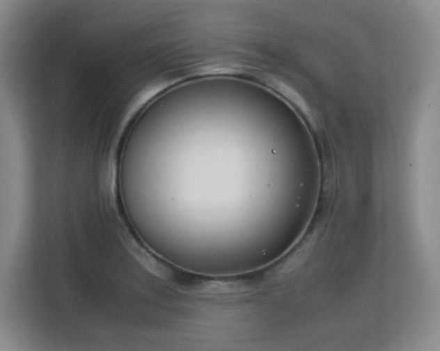 X0000113151179200909110948