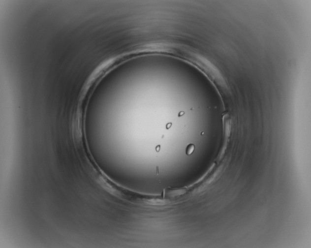 X0000113151180200909110948