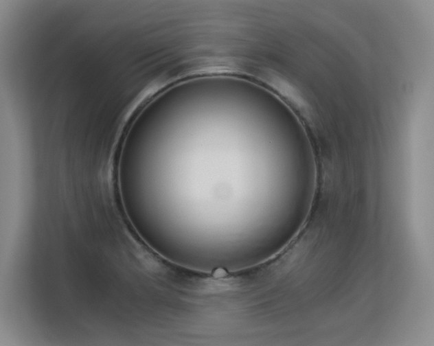 X0000113151181200909110948