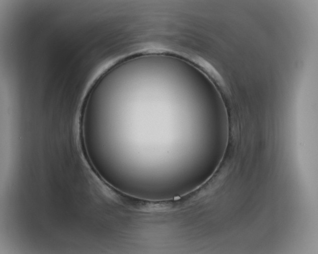 X0000113151183200909110948