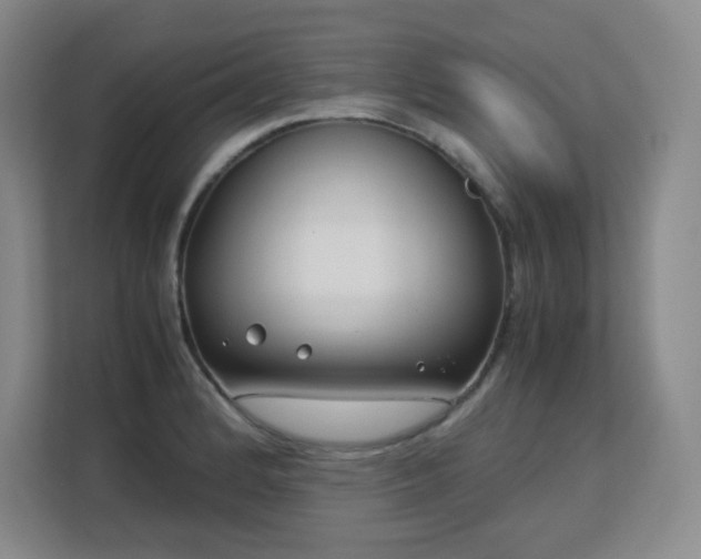 X0000113151184200909110948