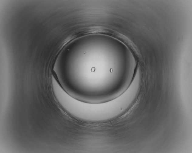 X0000113151185200909110948