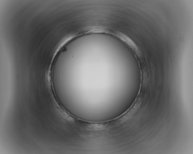 X0000113151190200909110948