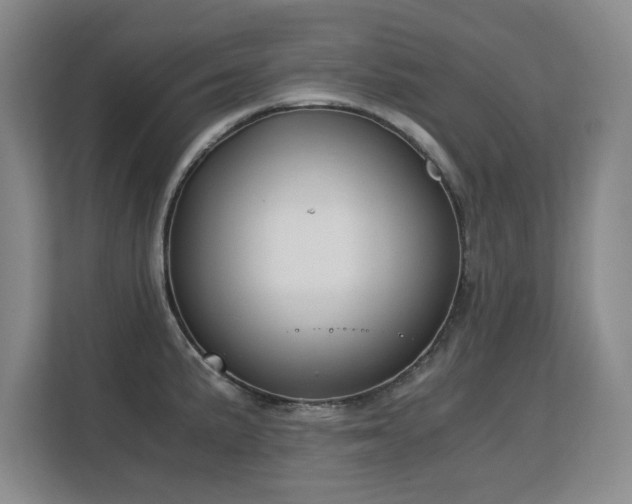 X0000113151191200909110948