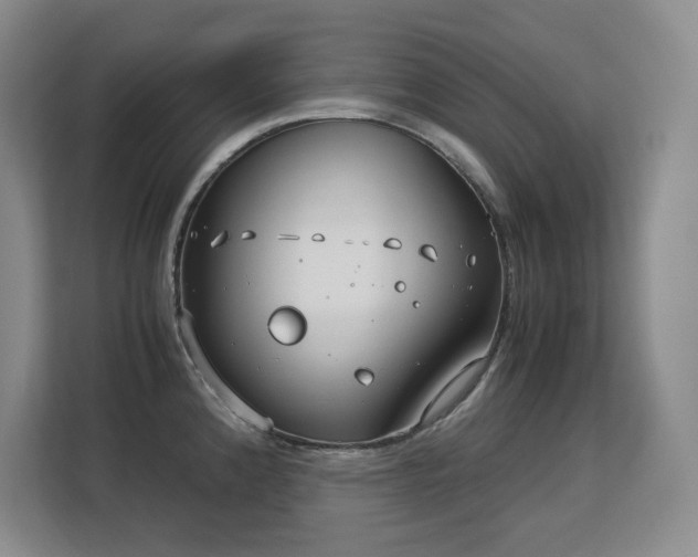 X0000113151192200909110948