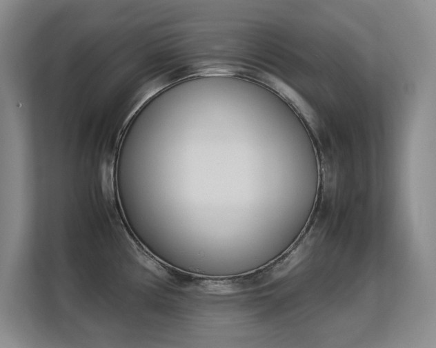 X0000113151194200909110948