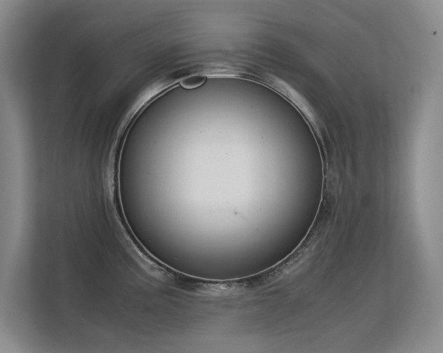 X0000113151195200909110948