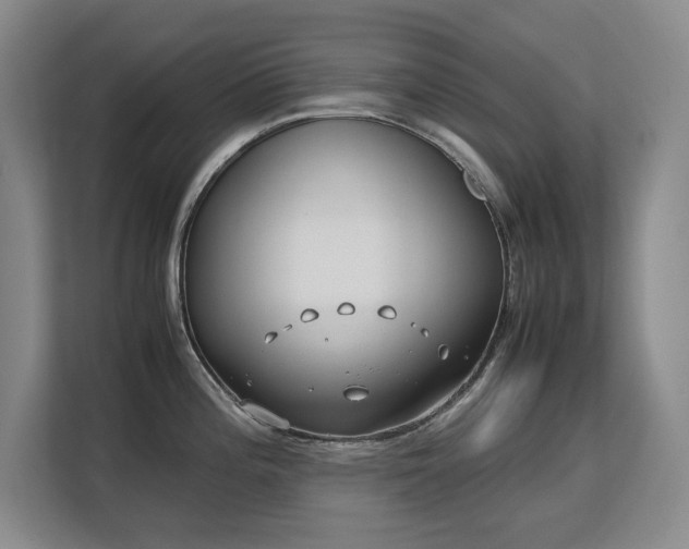 X0000113151196200909110948