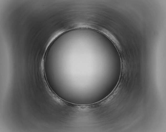 X0000113151198200909110948