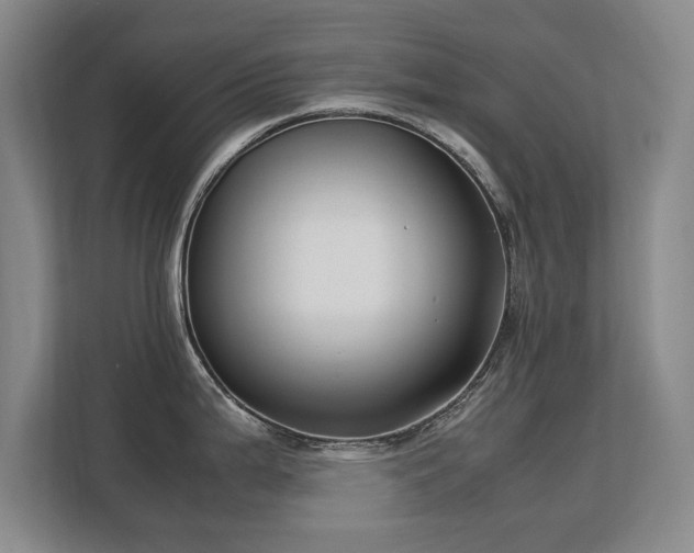 X0000113151199200909110948