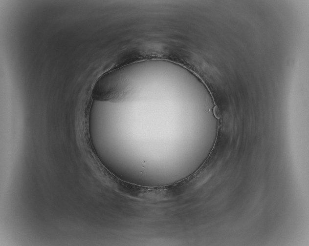 X0000113151201200909110947