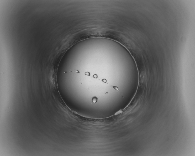 X0000113151202200909110947