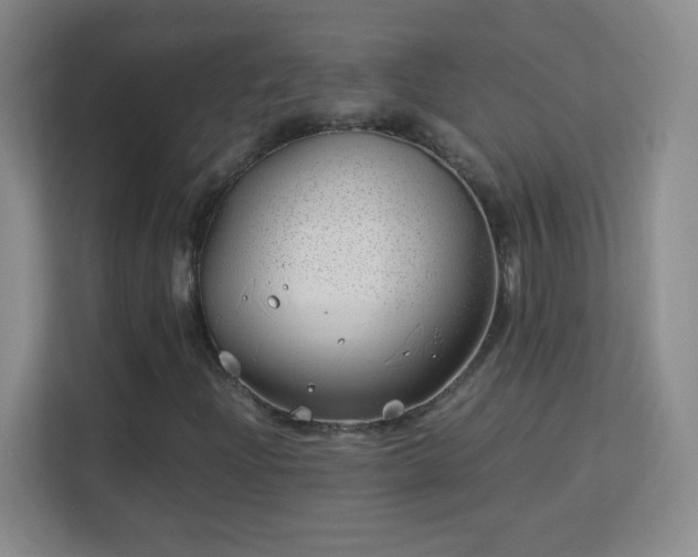 X0000113151204200909110947