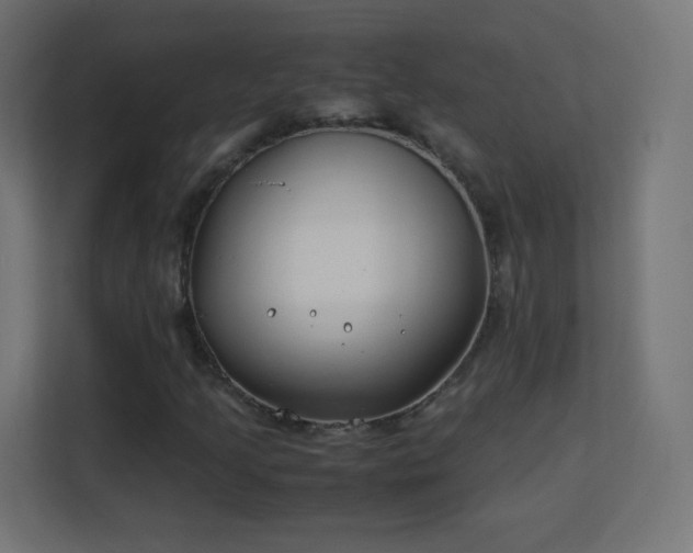 X0000113151205200909110947